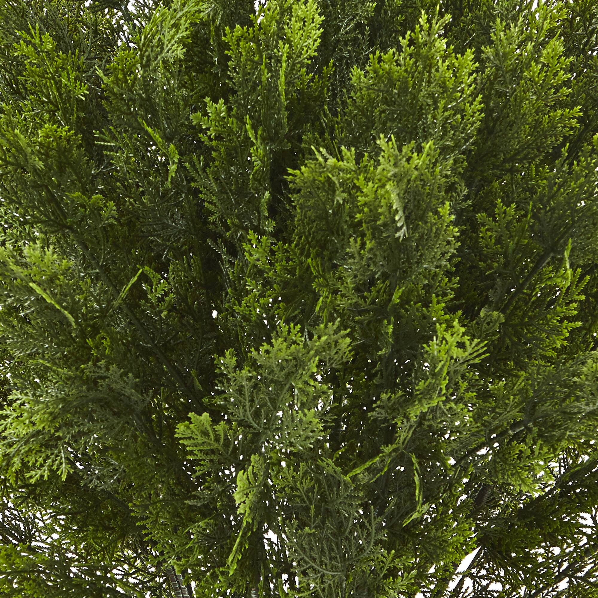 3ft. Potted Cedar Bush